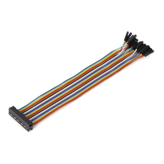 Mikroelektronika d.o.o. MIKROE-2317 Ribbon Cable 26-wire, FeMale IDC/FeMale, 20 cm - The Debug Store UK