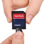 Mikroelektronika d.o.o. MIKROE-1281 microSD card 2GB with adapter - The Debug Store UK